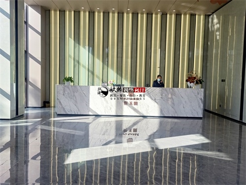 大武口售楼部大厅装修设计项目|镹臻设计